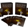 Success Principles