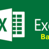 MS Excel Basic