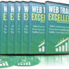 Web Traffic Excellence